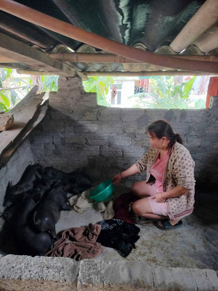Kiến tạo cuộc sống tốt đẹp hơn cho phụ nữ vùng cao Kỳ Sơn- Ảnh 4. Kiến tạo cuộc sống tốt đẹp hơn cho phụ nữ vùng cao Kỳ Sơn- Ảnh 4.