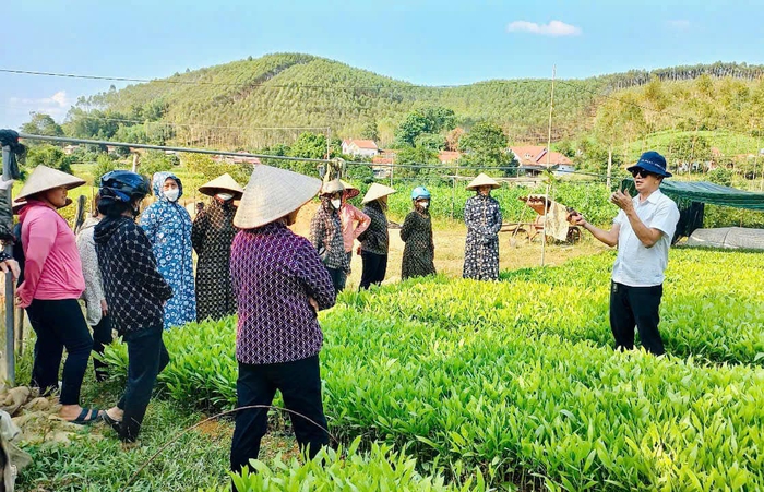 Nhiều gia đình trồng rừng ở Lạng Sơn gặp khó vì thiếu cây keo giống - Ảnh 2. Nhiều gia đình trồng rừng ở Lạng Sơn gặp khó vì thiếu cây keo giống - Ảnh 2.