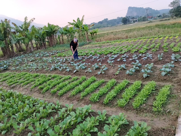 Nâng cao nhận thức, khơi dậy khát vọng vươn lên thoát nghèo cho hội viên phụ nữ - Ảnh 2. Nâng cao nhận thức, khơi dậy khát vọng vươn lên thoát nghèo cho hội viên phụ nữ - Ảnh 2.