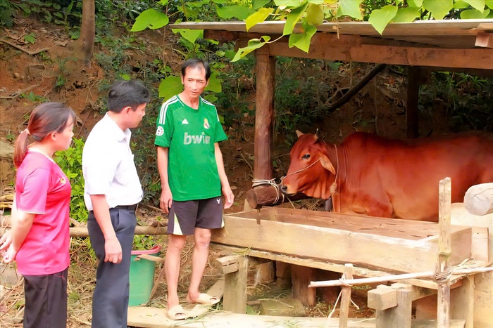 "Cú hích" thay đổi diện mạo cho vùng đất trung du- Ảnh 1. "Cú hích" thay đổi diện mạo cho vùng đất trung du- Ảnh 1.