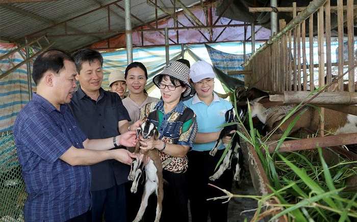 Yên Bái: Đời sống người dân khởi sắc nhờ giảm nghèo hiệu quả- Ảnh 1. Yên Bái: Đời sống người dân khởi sắc nhờ giảm nghèo hiệu quả- Ảnh 1.