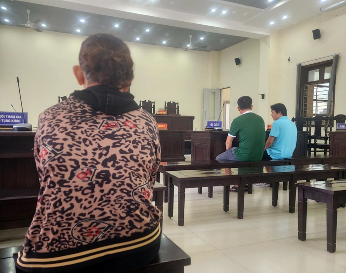 Vụ "bênh mẹ mà phạm tội": Toà quyết định trả hồ sơ điều tra lại - Ảnh 1. Vụ "bênh mẹ mà phạm tội": Toà quyết định trả hồ sơ điều tra lại - Ảnh 1.