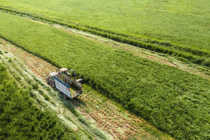 Bí quyết đằng sau dòng sữa sóng sánh, hậu vị cỏ hoa Vinamilk Green Farm- Ảnh 2. Bí quyết đằng sau dòng sữa sóng sánh, hậu vị cỏ hoa Vinamilk Green Farm- Ảnh 2.