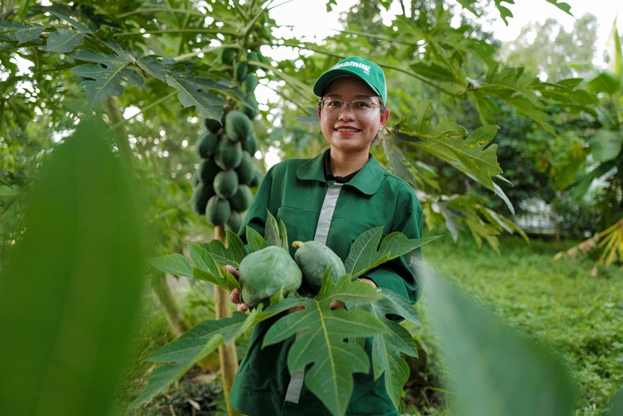 Bí quyết đằng sau dòng sữa sóng sánh, hậu vị cỏ hoa Vinamilk Green Farm- Ảnh 3. Bí quyết đằng sau dòng sữa sóng sánh, hậu vị cỏ hoa Vinamilk Green Farm- Ảnh 3.