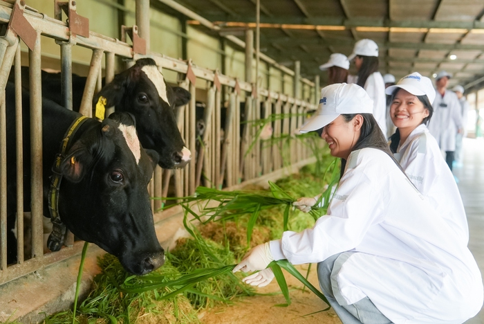 Bí quyết đằng sau dòng sữa sóng sánh, hậu vị cỏ hoa Vinamilk Green Farm- Ảnh 5. Bí quyết đằng sau dòng sữa sóng sánh, hậu vị cỏ hoa Vinamilk Green Farm- Ảnh 5.