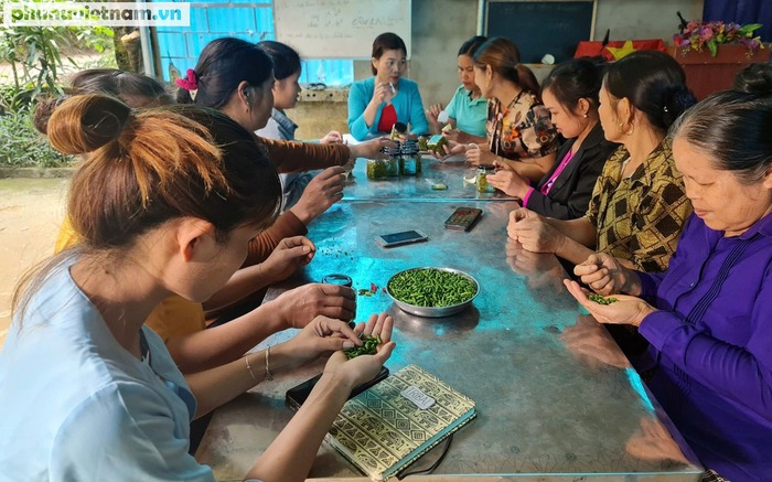 Bình đẳng giới nâng bước cho phụ nữ dân tộc thiểu số ở Hòa Bình- Ảnh 2. Bình đẳng giới nâng bước cho phụ nữ dân tộc thiểu số ở Hòa Bình- Ảnh 2.