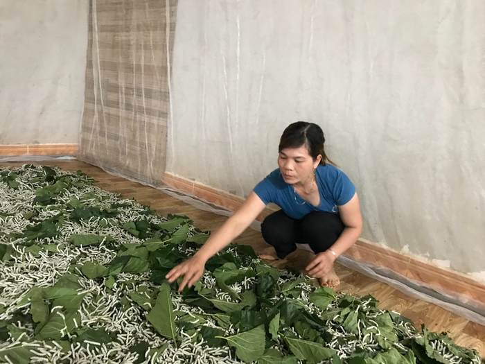 Lâm Đồng: Hành trình giúp phụ nữ dân tộc thiểu số ở Tân Thanh vươn lên từ vùng đất khó- Ảnh 1. Lâm Đồng: Hành trình giúp phụ nữ dân tộc thiểu số ở Tân Thanh vươn lên từ vùng đất khó- Ảnh 1.