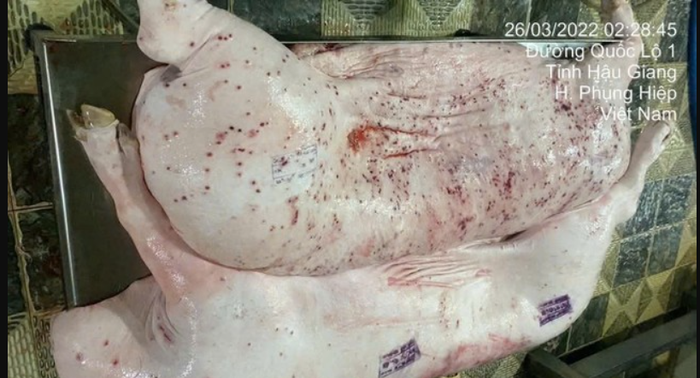 Thịt heo bệnh tại Dững Nga: Những câu hỏi đặt ra khi C.P thừa nhận... từng phần- Ảnh 1. Thịt heo bệnh tại Dững Nga: Những câu hỏi đặt ra khi C.P thừa nhận... từng phần- Ảnh 1.