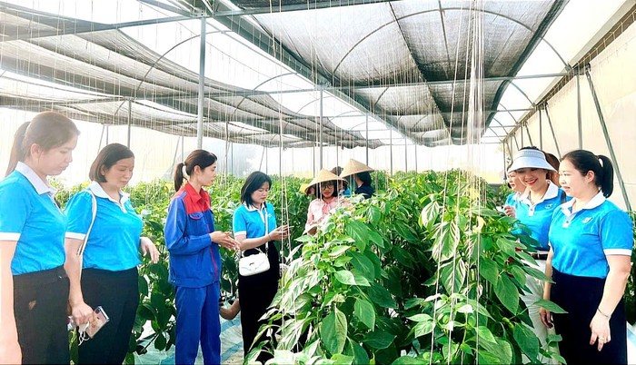 Vĩnh Phúc: 100% cán bộ làm công tác giảm nghèo được tập huấn nâng cao năng lực- Ảnh 1. Vĩnh Phúc: 100% cán bộ làm công tác giảm nghèo được tập huấn nâng cao năng lực- Ảnh 1.