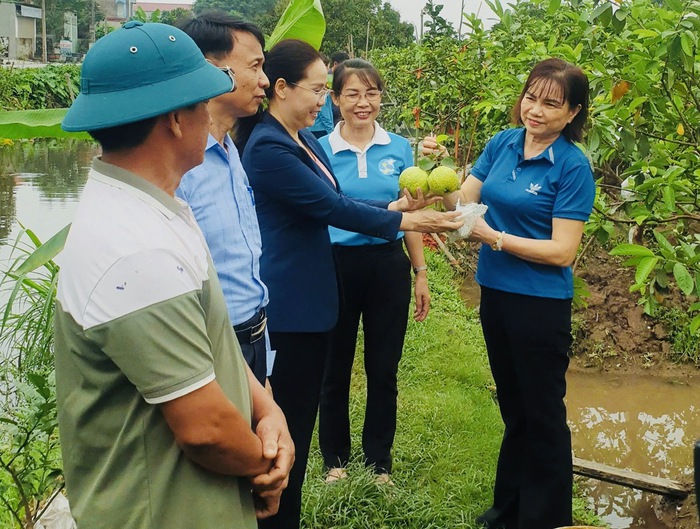 Phân loại, xử lý rác tại hộ gia đình, góp phần thay đổi nhận thức và thói quen bảo vệ môi trường ở Hưng Yên- Ảnh 1. Phân loại, xử lý rác tại hộ gia đình, góp phần thay đổi nhận thức và thói quen bảo vệ môi trường ở Hưng Yên- Ảnh 1.