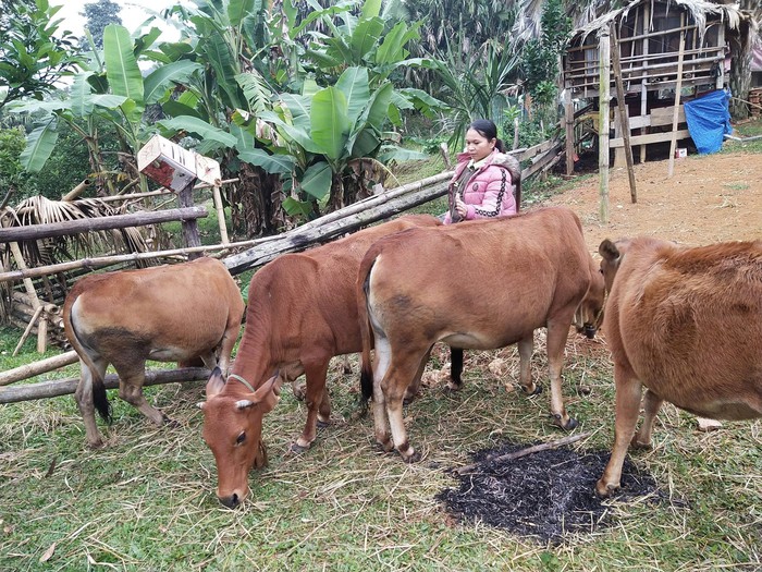 Đồng hành cùng phụ nữ biên cương, vững chắc phên giậu Tổ quốc- Ảnh 3.