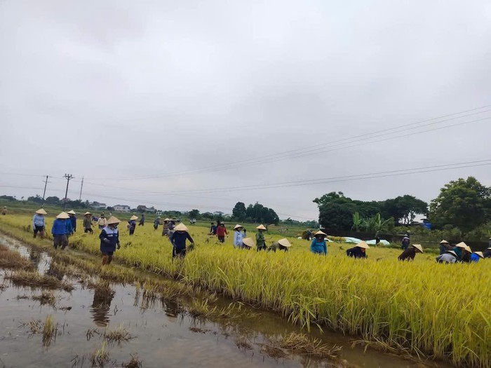 Hội LHPN Hà Tĩnh: Lan tỏa mạnh mẽ các phong trào thi đua yêu nước- Ảnh 1. Hội LHPN Hà Tĩnh: Lan tỏa mạnh mẽ các phong trào thi đua yêu nước- Ảnh 1.