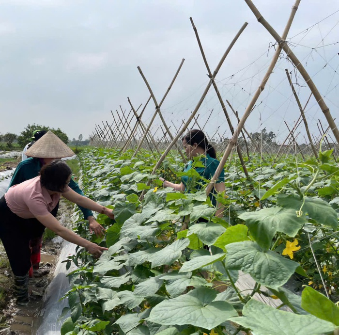 Phụ nữ nông thôn Thái Bình cần thay đổi nếp nghĩ, cách làm sáng tạo trong lao động, sản xuất - Ảnh 2.