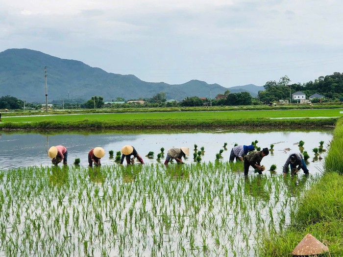 Phát huy vai trò của phụ nữ Hà Tĩnh trong kỷ nguyên vươn mình của dân tộc- Ảnh 2. Phát huy vai trò của phụ nữ Hà Tĩnh trong kỷ nguyên vươn mình của dân tộc- Ảnh 2.