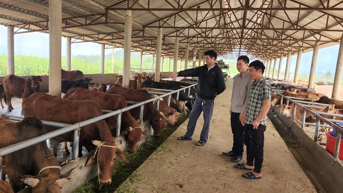 Lai Châu: Phát triển nông nghiệp hàng hóa hoàn thành mục tiêu chương trình xây dựng nông thôn mới- Ảnh 1. Lai Châu: Phát triển nông nghiệp hàng hóa hoàn thành mục tiêu chương trình xây dựng nông thôn mới- Ảnh 1.