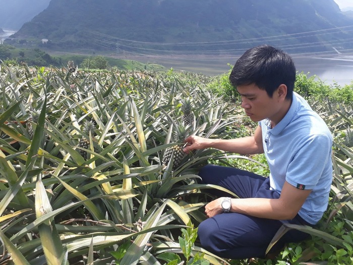 Lai Châu: Phát triển nông nghiệp hàng hóa hoàn thành mục tiêu chương trình xây dựng nông thôn mới- Ảnh 2. Lai Châu: Phát triển nông nghiệp hàng hóa hoàn thành mục tiêu chương trình xây dựng nông thôn mới- Ảnh 2.