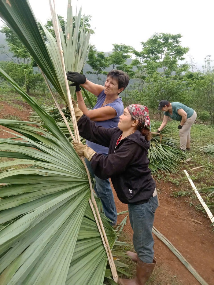 Nhu cầu "tìm về" mở ra cơ hội phát triển du lịch bản địa - Ảnh 1. Nhu cầu "tìm về" mở ra cơ hội phát triển du lịch bản địa - Ảnh 1.