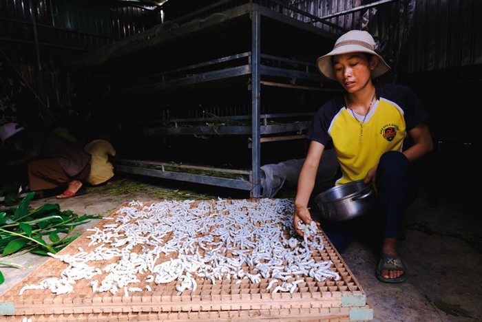 Lâm Đồng: Nhiều mô hình kinh tế hiệu quả được triển khai và nhân rộng- Ảnh 1.