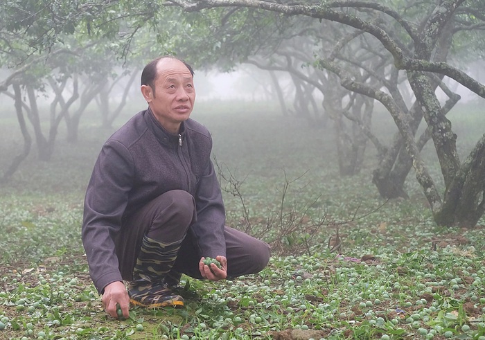 Thích ứng với biến đổi khí hậu để phát triển kinh tế bền vững- Ảnh 1. Thích ứng với biến đổi khí hậu để phát triển kinh tế bền vững- Ảnh 1.
