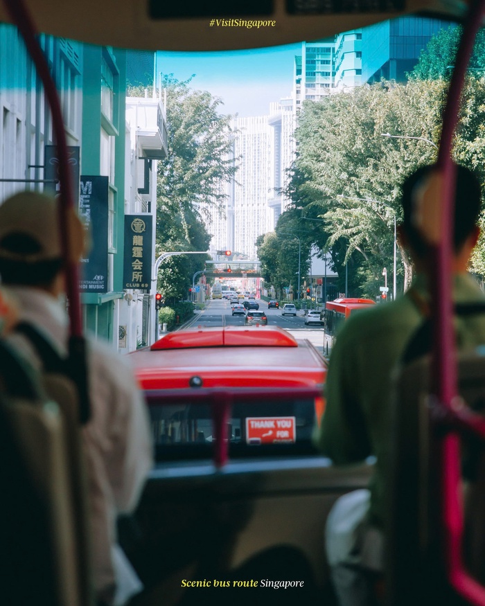 Đi xe buýt khám phá vẻ đẹp độc đáo của Singapore- Ảnh 1.
