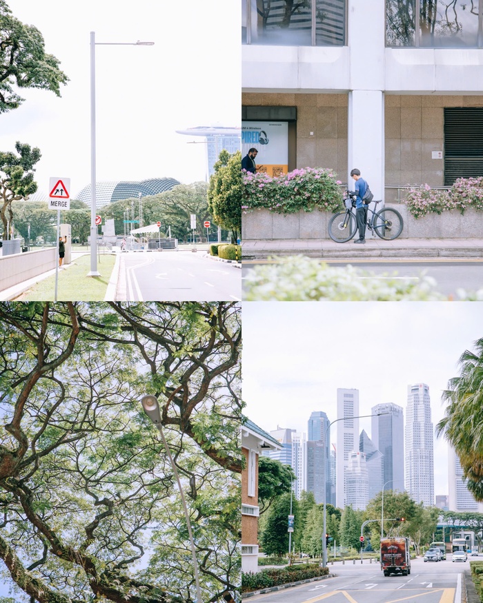 Đi xe buýt khám phá vẻ đẹp độc đáo của Singapore- Ảnh 2.