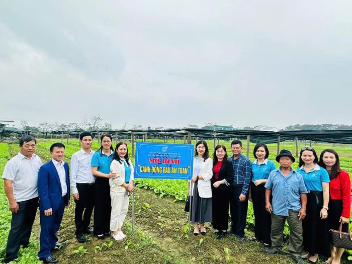Những vùng quê Nghệ An khởi sắc nhờ xây dựng nông thôn mới - Ảnh 4. Những vùng quê Nghệ An khởi sắc nhờ xây dựng nông thôn mới - Ảnh 4.