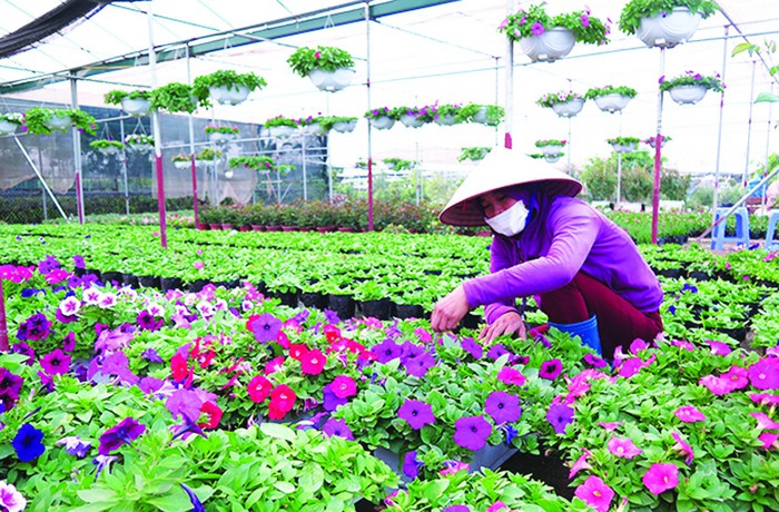 Xây dựng nông thôn mới cần nâng lên tầm cao mới- Ảnh 1. Xây dựng nông thôn mới cần nâng lên tầm cao mới- Ảnh 1.