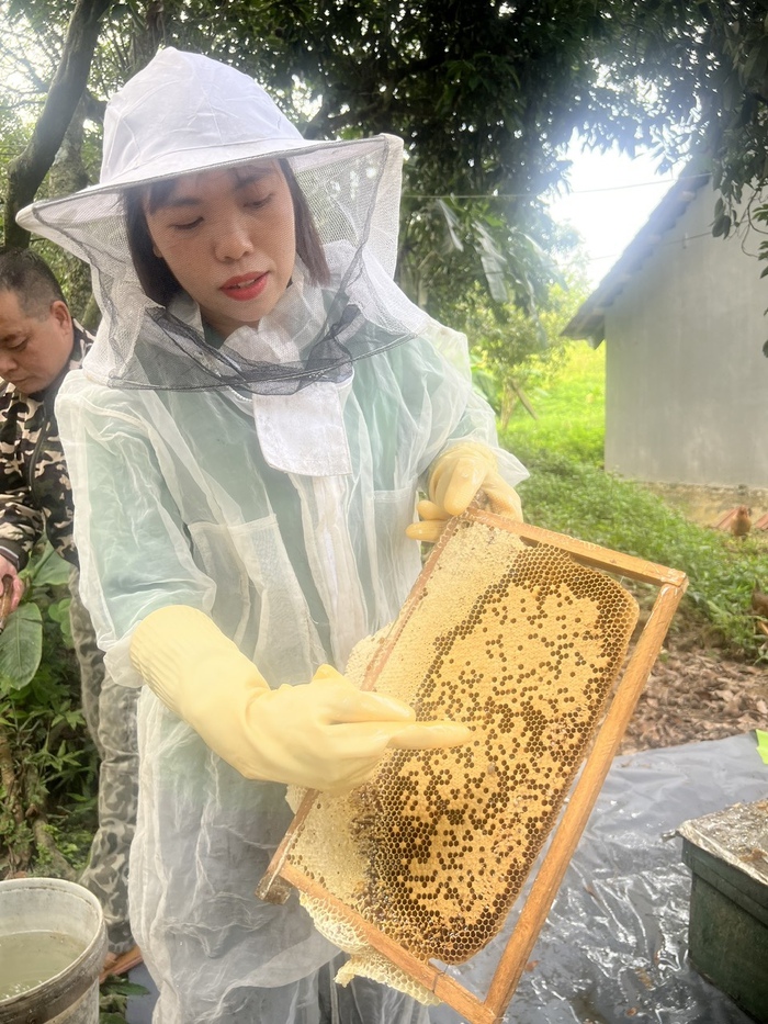 Chủ động hội nhập số, làm giàu từ 50 đàn ong - Ảnh 1.