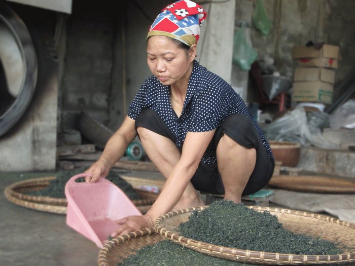 Thái Nguyên: Thúc đẩy kinh tế nông nghiệp gắn với xây dựng nông thôn mới- Ảnh 1. Thái Nguyên: Thúc đẩy kinh tế nông nghiệp gắn với xây dựng nông thôn mới- Ảnh 1.
