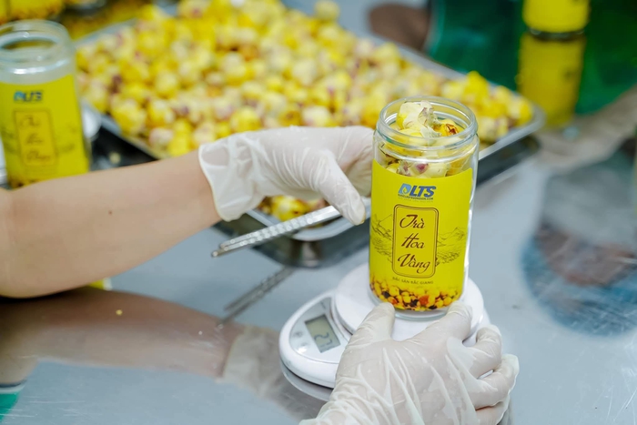Thoát nghèo từ cây thuốc mọc bên sườn núi- Ảnh 3. Thoát nghèo từ cây thuốc mọc bên sườn núi- Ảnh 3.