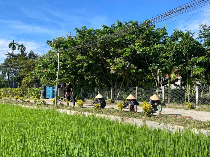 Đà Nẵng: Phụ nữ làm đẹp môi trường, chào mừng Đại hội Đảng bộ các cấp- Ảnh 2. Đà Nẵng: Phụ nữ làm đẹp môi trường, chào mừng Đại hội Đảng bộ các cấp- Ảnh 2.