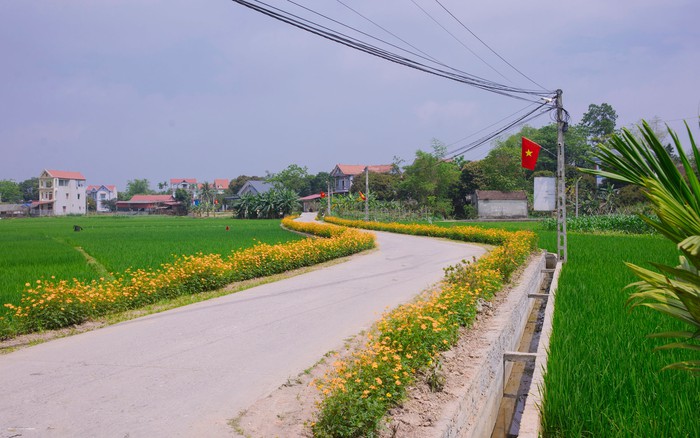 Phụ nữ Thái Nguyên chung tay kiến tạo nông thôn mới- Ảnh 2. Phụ nữ Thái Nguyên chung tay kiến tạo nông thôn mới- Ảnh 2.