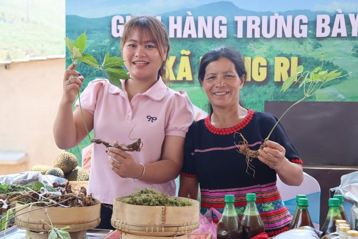 Quảng Ngãi: Xây dựng xã Ngọc Linh trở thành địa bàn trọng điểm về dược liệu- Ảnh 2. Quảng Ngãi: Xây dựng xã Ngọc Linh trở thành địa bàn trọng điểm về dược liệu- Ảnh 2.