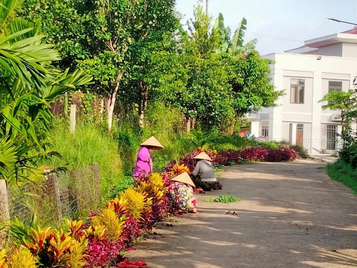 Đà Nẵng: Phụ nữ làm đẹp môi trường, chào mừng Đại hội Đảng bộ các cấp- Ảnh 3. Đà Nẵng: Phụ nữ làm đẹp môi trường, chào mừng Đại hội Đảng bộ các cấp- Ảnh 3.