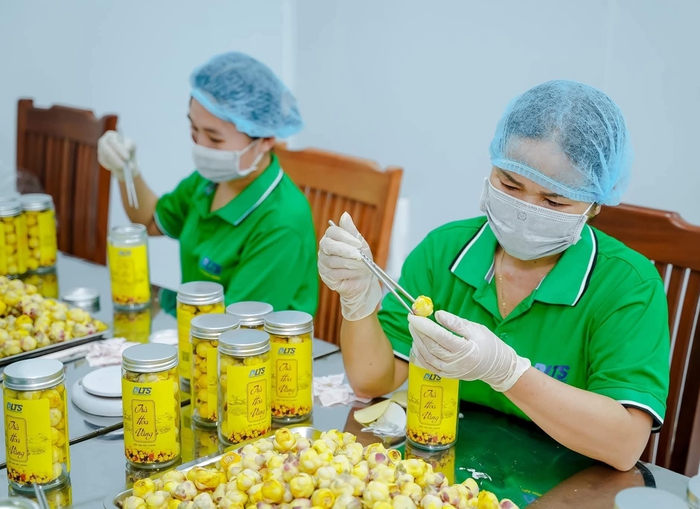 Thoát nghèo từ cây thuốc mọc bên sườn núi- Ảnh 2. Thoát nghèo từ cây thuốc mọc bên sườn núi- Ảnh 2.