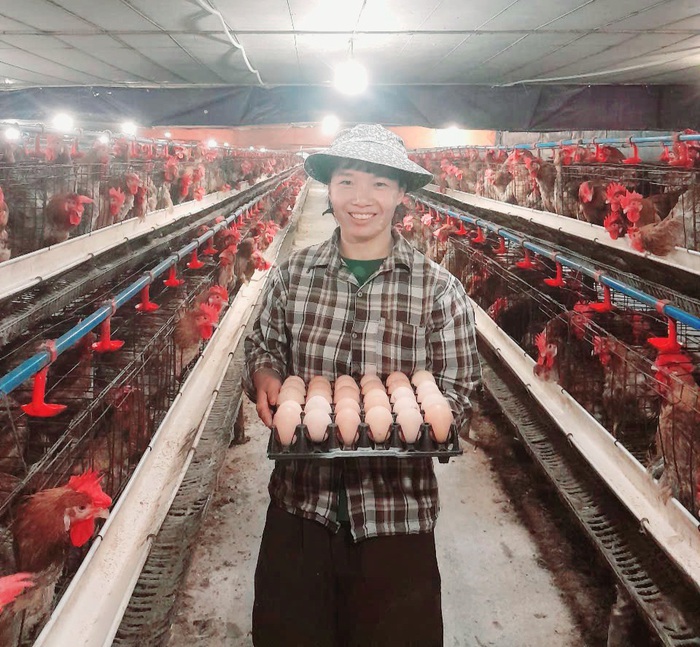 Khẳng định vai trò của phụ nữ trong phát triển nông nghiệp bền vững- Ảnh 1.