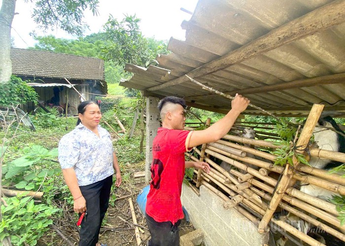 Tuyên Quang: Hơn 10.400 tỷ đồng vốn vay hỗ trợ gia đình dân tộc thiểu số phát triển sản xuất- Ảnh 2. Tuyên Quang: Hơn 10.400 tỷ đồng vốn vay hỗ trợ gia đình dân tộc thiểu số phát triển sản xuất- Ảnh 2.