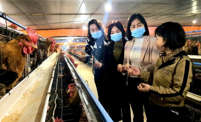 Khẳng định vai trò của phụ nữ trong phát triển nông nghiệp bền vững- Ảnh 3.