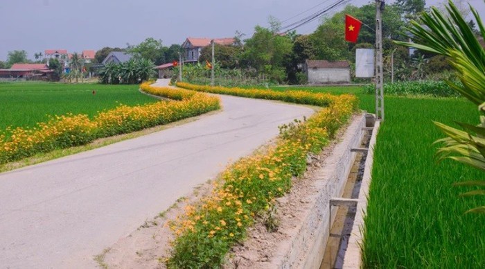 Phụ nữ Thái Nguyên: Nhiều cách làm linh hoạt, hiệu quả để xây dựng nông thôn mới- Ảnh 2. Phụ nữ Thái Nguyên: Nhiều cách làm linh hoạt, hiệu quả để xây dựng nông thôn mới- Ảnh 2.