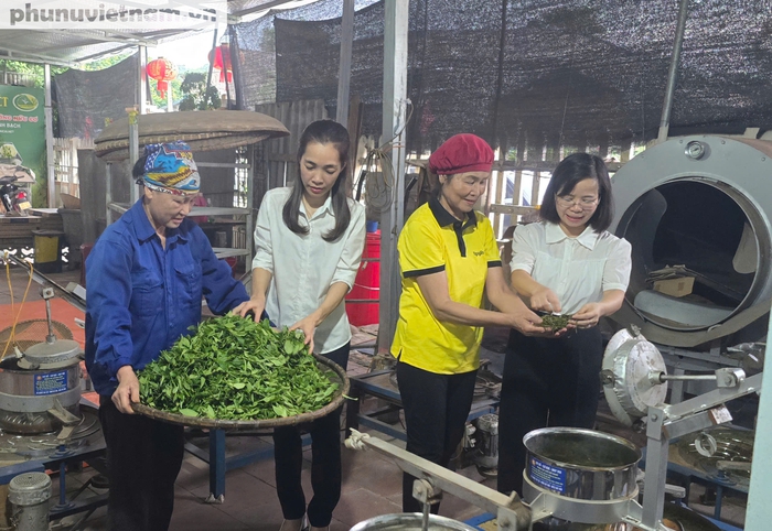 Tiếp lửa cho nữ doanh nhân vùng cao phát triển kinh tế - Ảnh 2. Tiếp lửa cho nữ doanh nhân vùng cao phát triển kinh tế - Ảnh 2.
