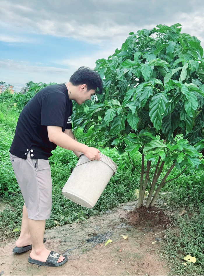Mô hình kiểu mẫu từ cây thuốc bản địa góp phần xây dựng nông thôn mới- Ảnh 3. Mô hình kiểu mẫu từ cây thuốc bản địa góp phần xây dựng nông thôn mới- Ảnh 3.