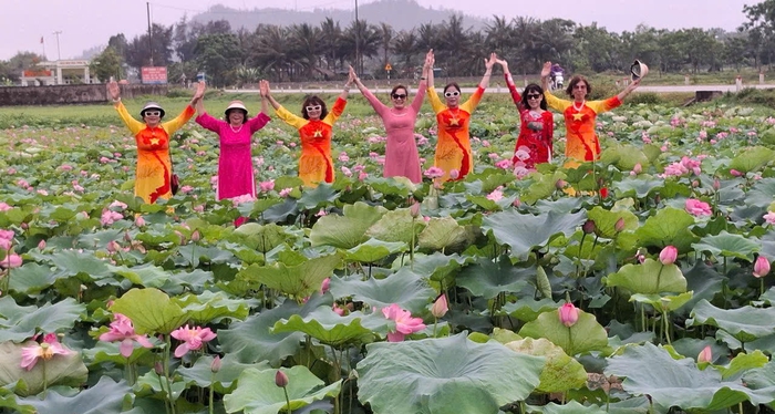 Biến đất hoang thành đầm sen, thu tiền triệu mỗi ngày- Ảnh 2. Biến đất hoang thành đầm sen, thu tiền triệu mỗi ngày- Ảnh 2.