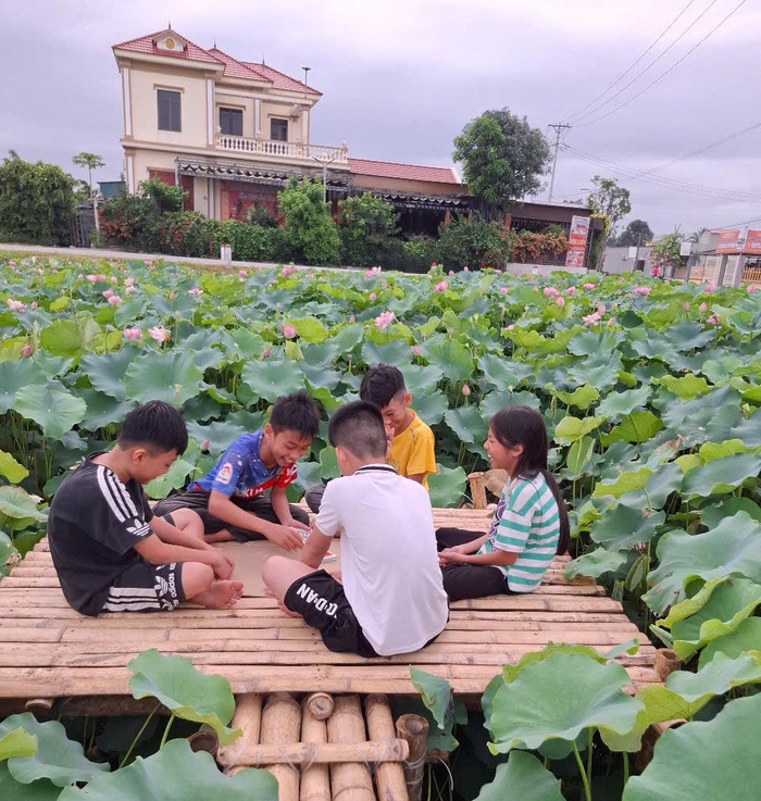Biến đất hoang thành đầm sen, thu tiền triệu mỗi ngày- Ảnh 3. Biến đất hoang thành đầm sen, thu tiền triệu mỗi ngày- Ảnh 3.