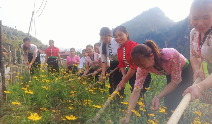 Phụ nữ Điện Biên: Những "kiến trúc sư" thầm lặng xây dựng nông thôn mới- Ảnh 1. Phụ nữ Điện Biên: Những "kiến trúc sư" thầm lặng xây dựng nông thôn mới- Ảnh 1.
