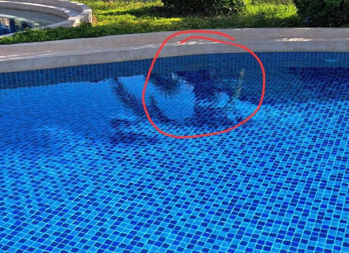 Vụ án bé trai người Nhật đuối nước tại Phan Thiết: Cơ quan điều tra thay đổi Quyết định khởi tố - Ảnh 2. Vụ án bé trai người Nhật đuối nước tại Phan Thiết: Cơ quan điều tra thay đổi Quyết định khởi tố - Ảnh 2.
