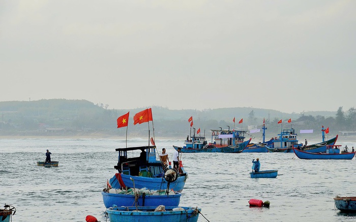 Thủ tướng chỉ đạo tăng cường chống khai thác thủy sản bất hợp pháp IUU- Ảnh 2. Thủ tướng chỉ đạo tăng cường chống khai thác thủy sản bất hợp pháp IUU- Ảnh 2.