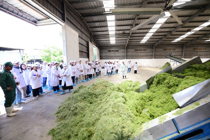 "Mở khóa tự nhiên": Vinamilk biến rào cản thành vòng tuần hoàn xanh tại trang trại sinh thái- Ảnh 5. "Mở khóa tự nhiên": Vinamilk biến rào cản thành vòng tuần hoàn xanh tại trang trại sinh thái- Ảnh 5.