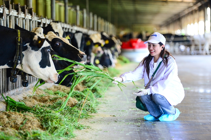 "Mở khóa tự nhiên": Vinamilk biến rào cản thành vòng tuần hoàn xanh tại trang trại sinh thái- Ảnh 9. "Mở khóa tự nhiên": Vinamilk biến rào cản thành vòng tuần hoàn xanh tại trang trại sinh thái- Ảnh 9.