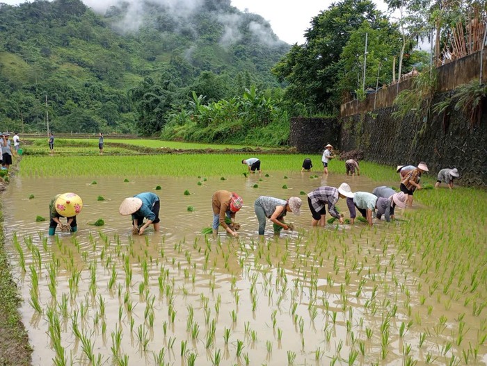 Phụ nữ Cao Bằng: Chuỗi hoạt động tri ân nhân Ngày 27/7 - Ảnh 1.
