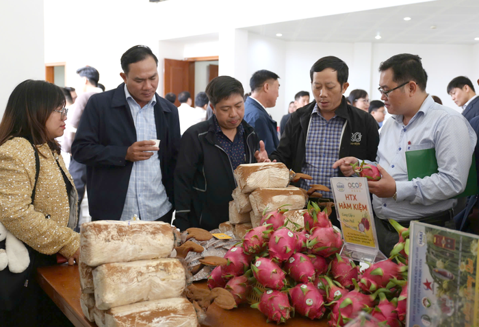 TPHCM và Lâm Đồng thúc đẩy hợp tác chiến lược, đảm bảo nguồn cung nông sản an toàn- Ảnh 1.